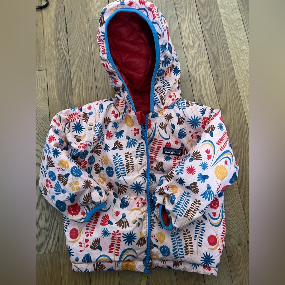 Patagonia down hoody jacket